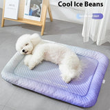 🐾 Stay Cool, Sleep Happy 🌿