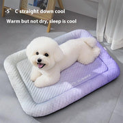 🐾 Stay Cool, Sleep Happy 🌿