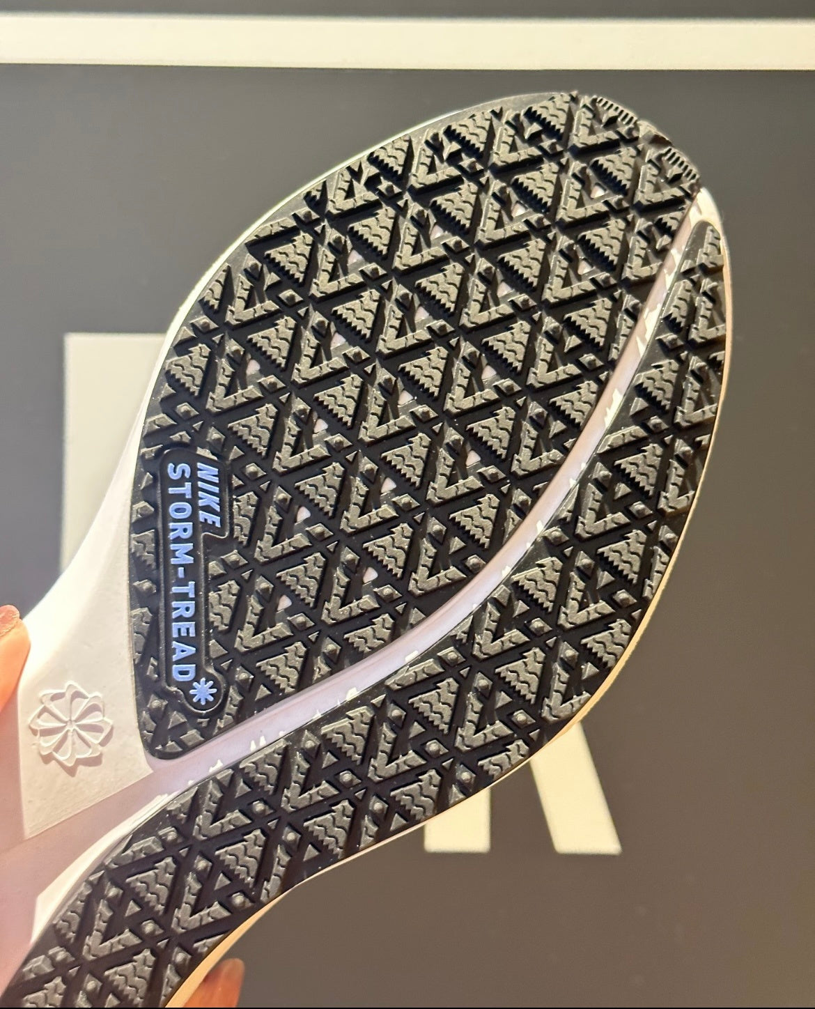 Nike Pegasus 41 GORE-TEX Running Shoes FQ1357-400 Blue